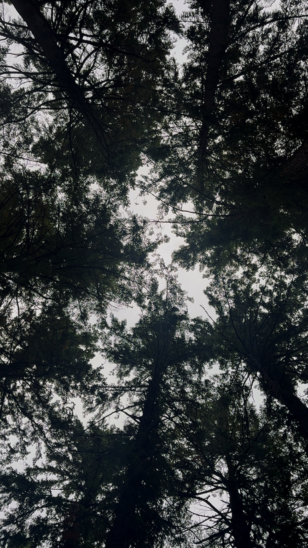 Mount Tabor Park Portland